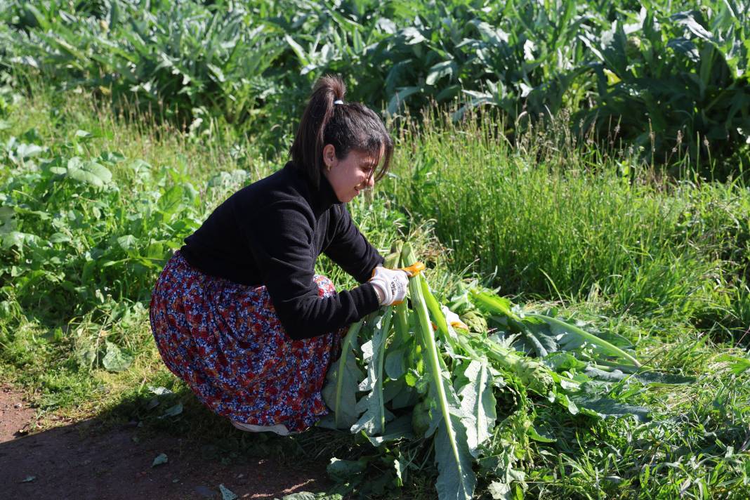 Tarlada 20 restoranda 400 lira çiftçiler için elmastan daha değerli 6